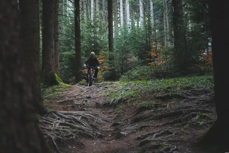 Radfahren im Harz