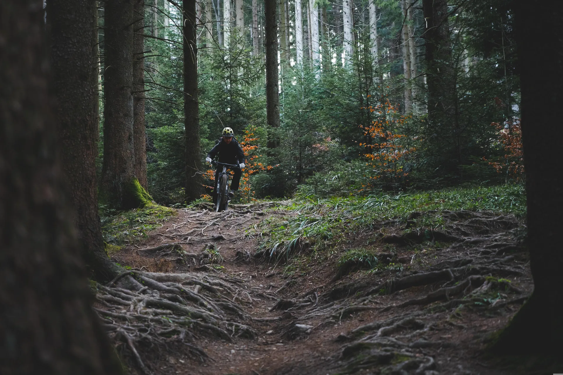 Fietsen in de Harz