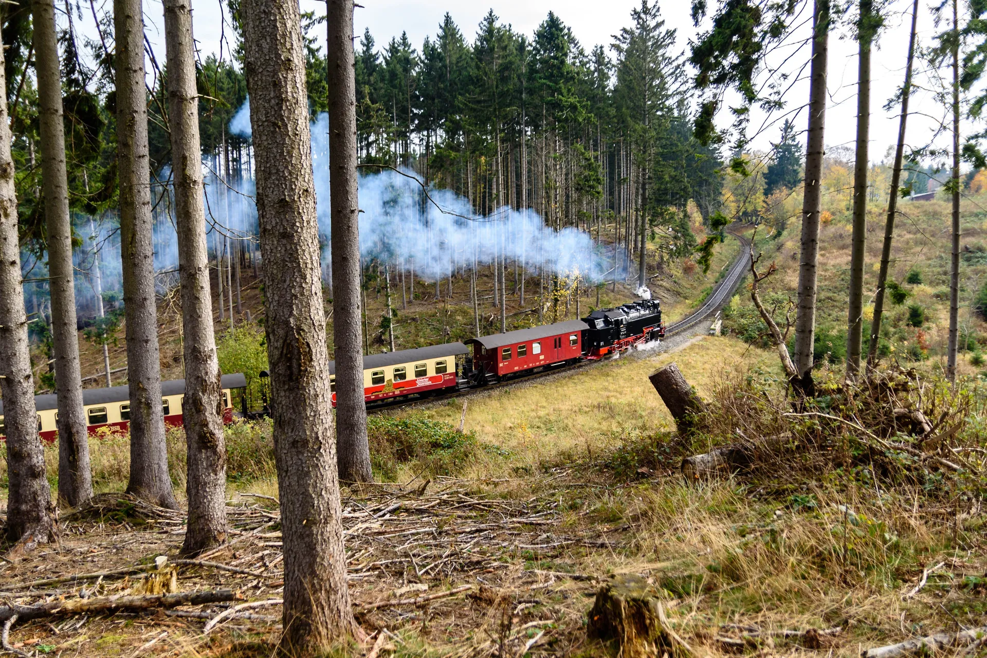 Harz smalspoor