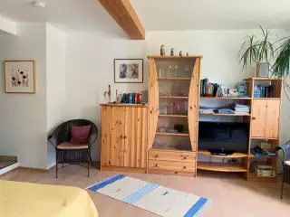 Ferienwohnung Mimosa – Wohn-/Schlafzimmer
